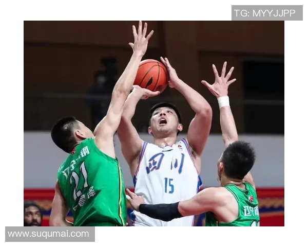 北京金隅与辽宁争冠决战第5场精彩对决全景回顾与分析